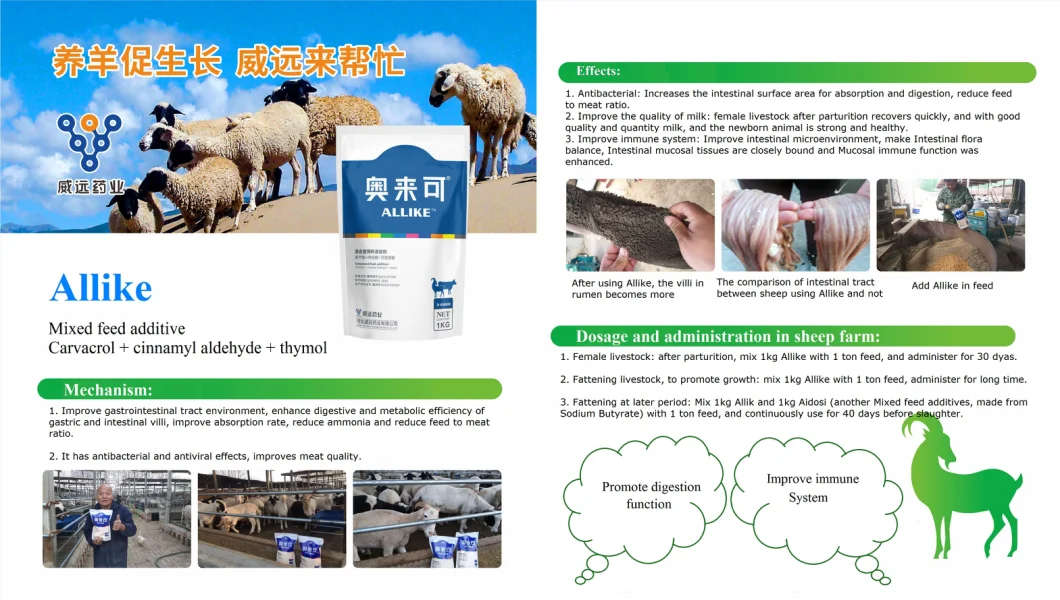 Compound Feed Additive for Sheep to Promote Animal Growth, Increase Body Weight and Enhance Resistance 15kg/Bucket