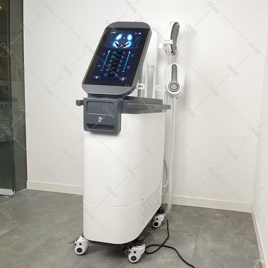 新しい美的システム筋肉引き締めセルライト削減ボディ痩身 2023 価格 RF EMS ボディシェイピングマシンダイエット肌エステ機器